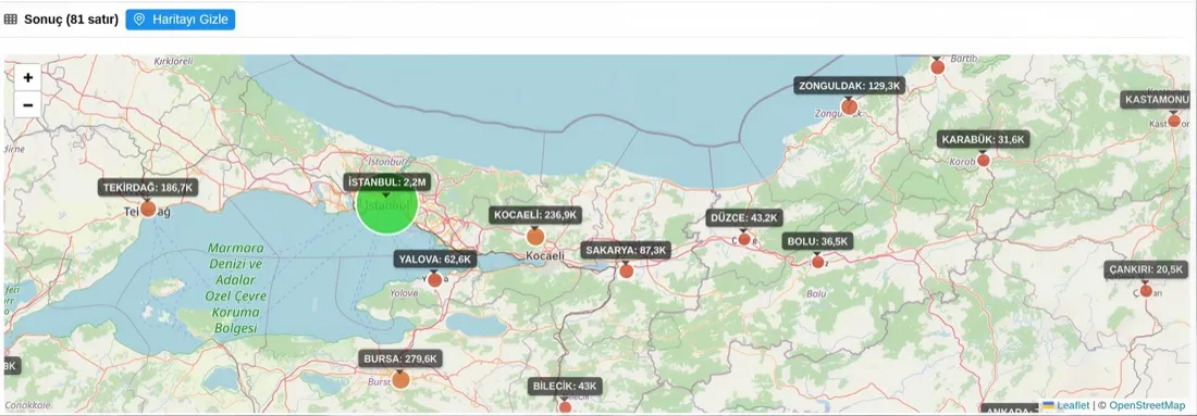 VendiSens AI point-level analysis — Marmara region store detail